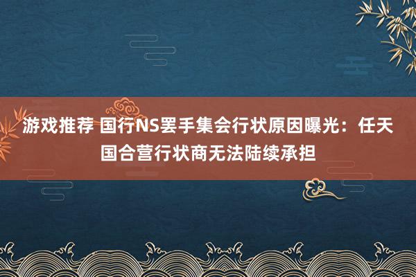 游戏推荐 国行NS罢手集会行状原因曝光：任天国合营行状商无法陆续承担