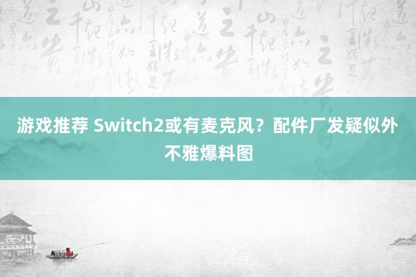 游戏推荐 Switch2或有麦克风？配件厂发疑似外不雅爆料图